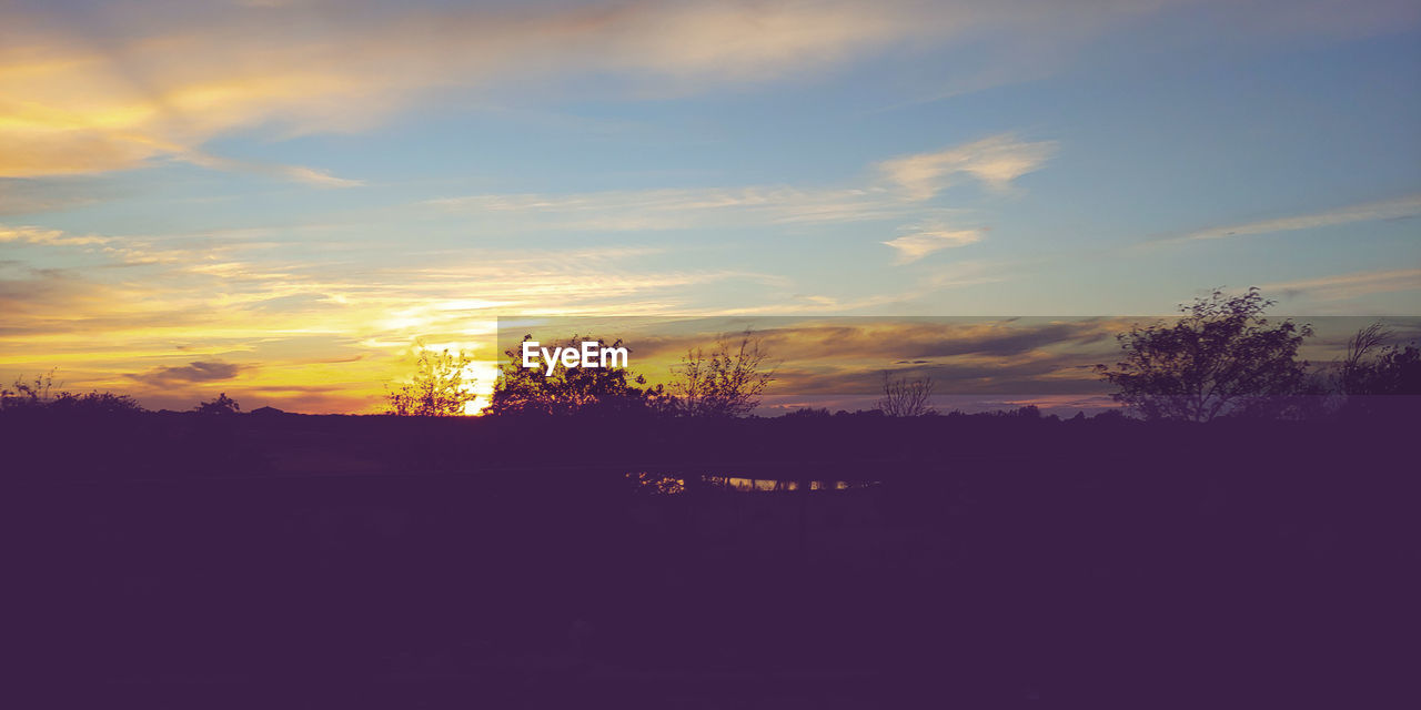 SILHOUETTE TREES ON LANDSCAPE AGAINST SKY AT SUNSET