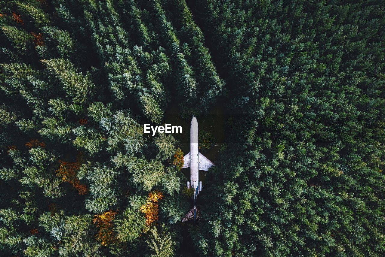High angle view of airplane amidst trees