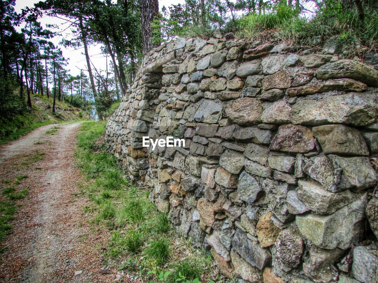 Stone wall by trail in forest