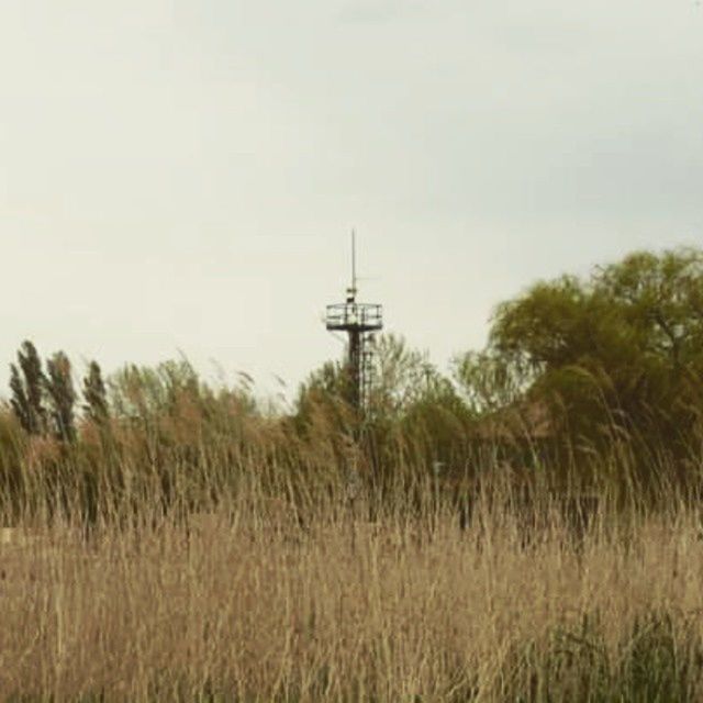 WIND TURBINES ON LANDSCAPE