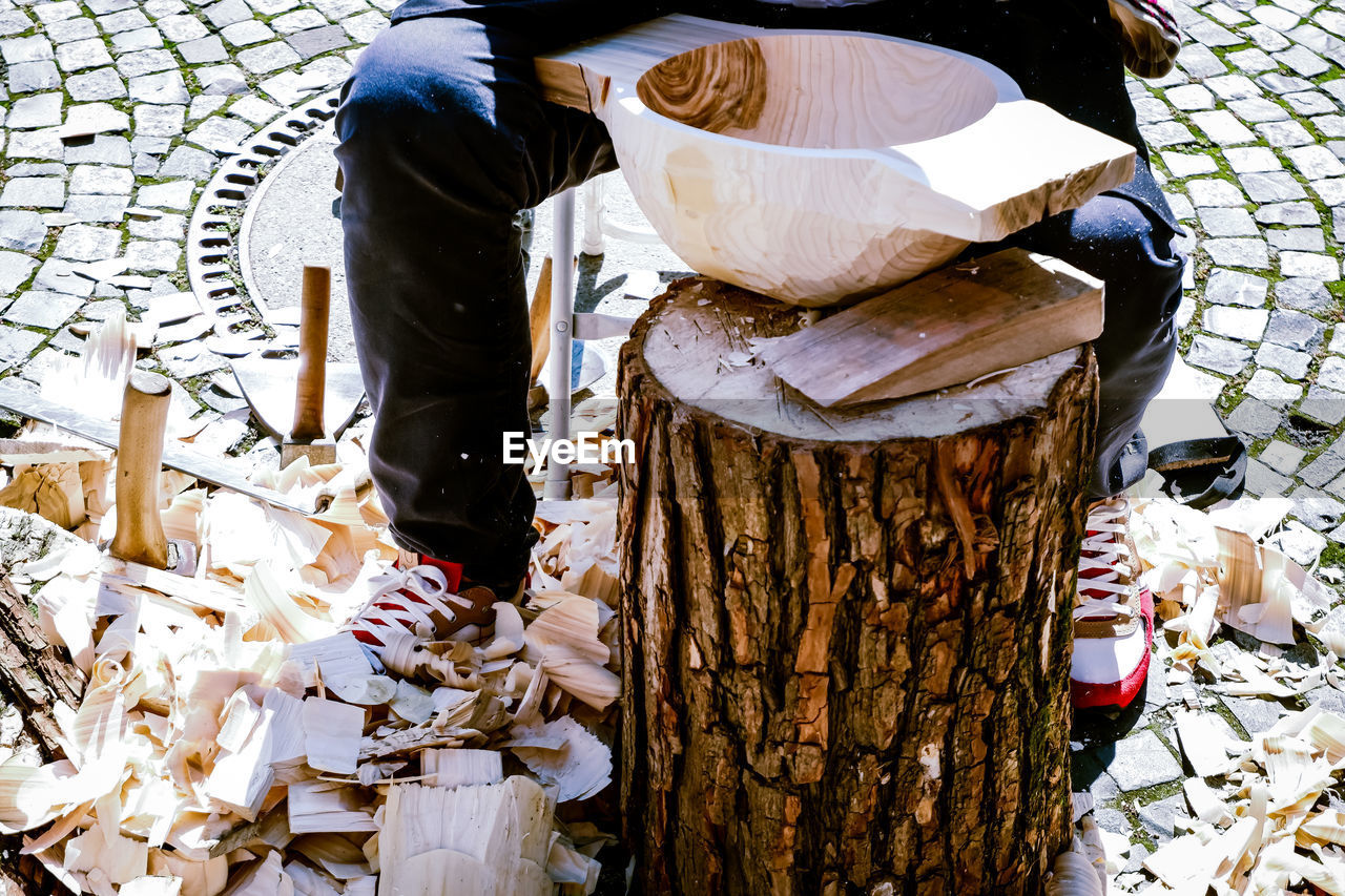 Low section of man working on tree trunk