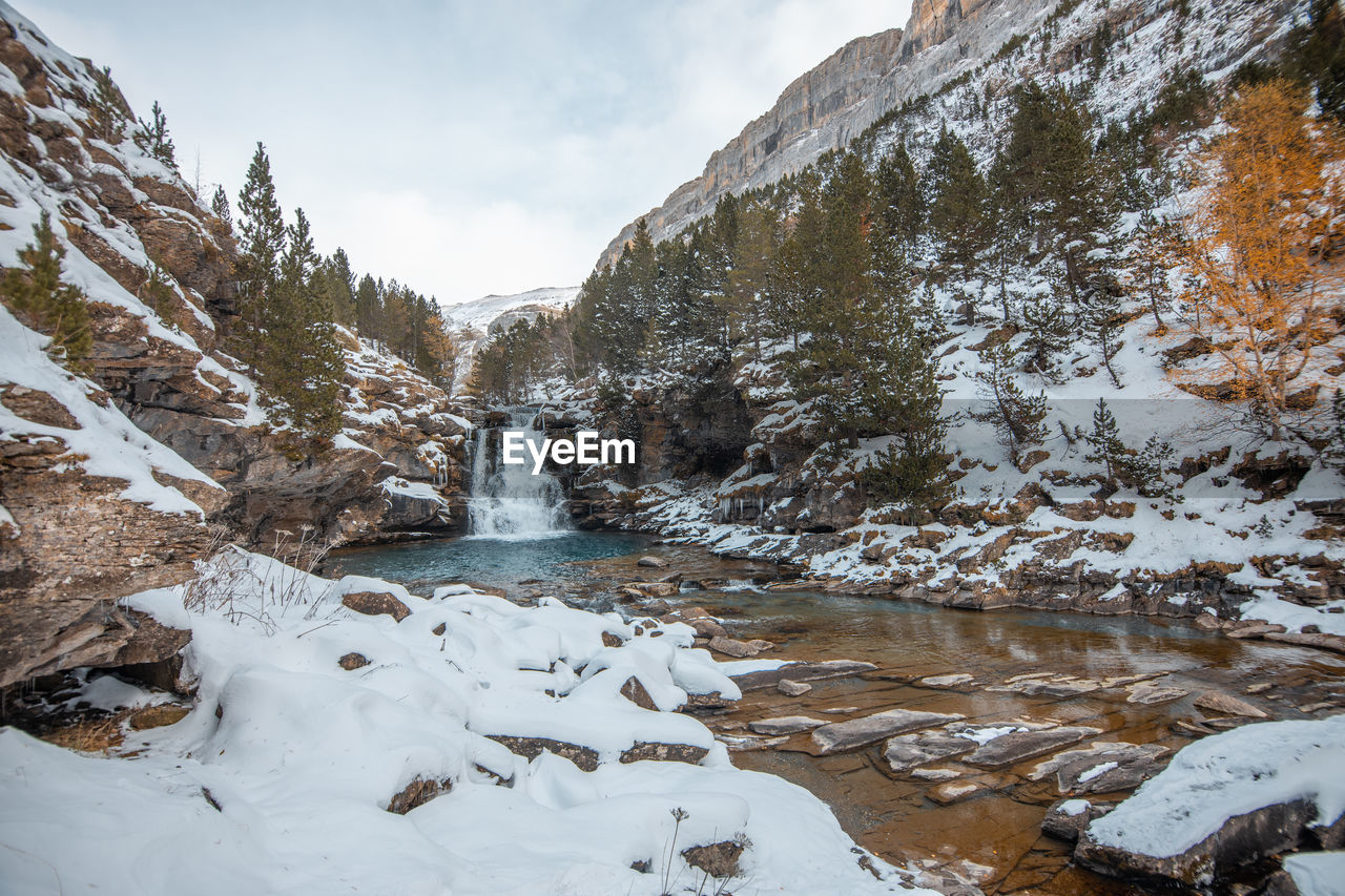 Frozen river amidst trees against sky during winter