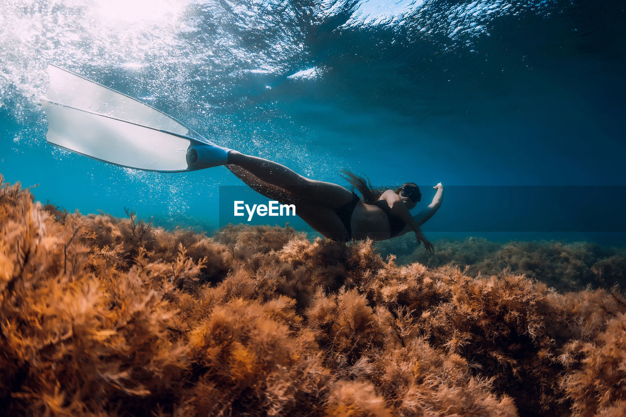 high angle view of woman swimming in sea