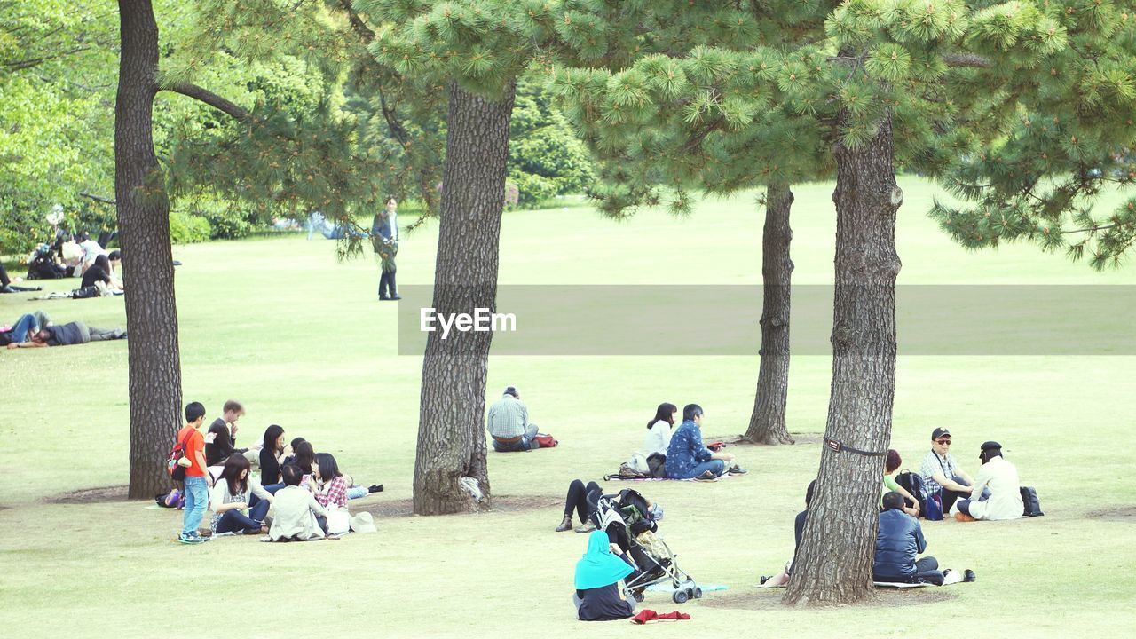 PEOPLE SITTING AT PARK