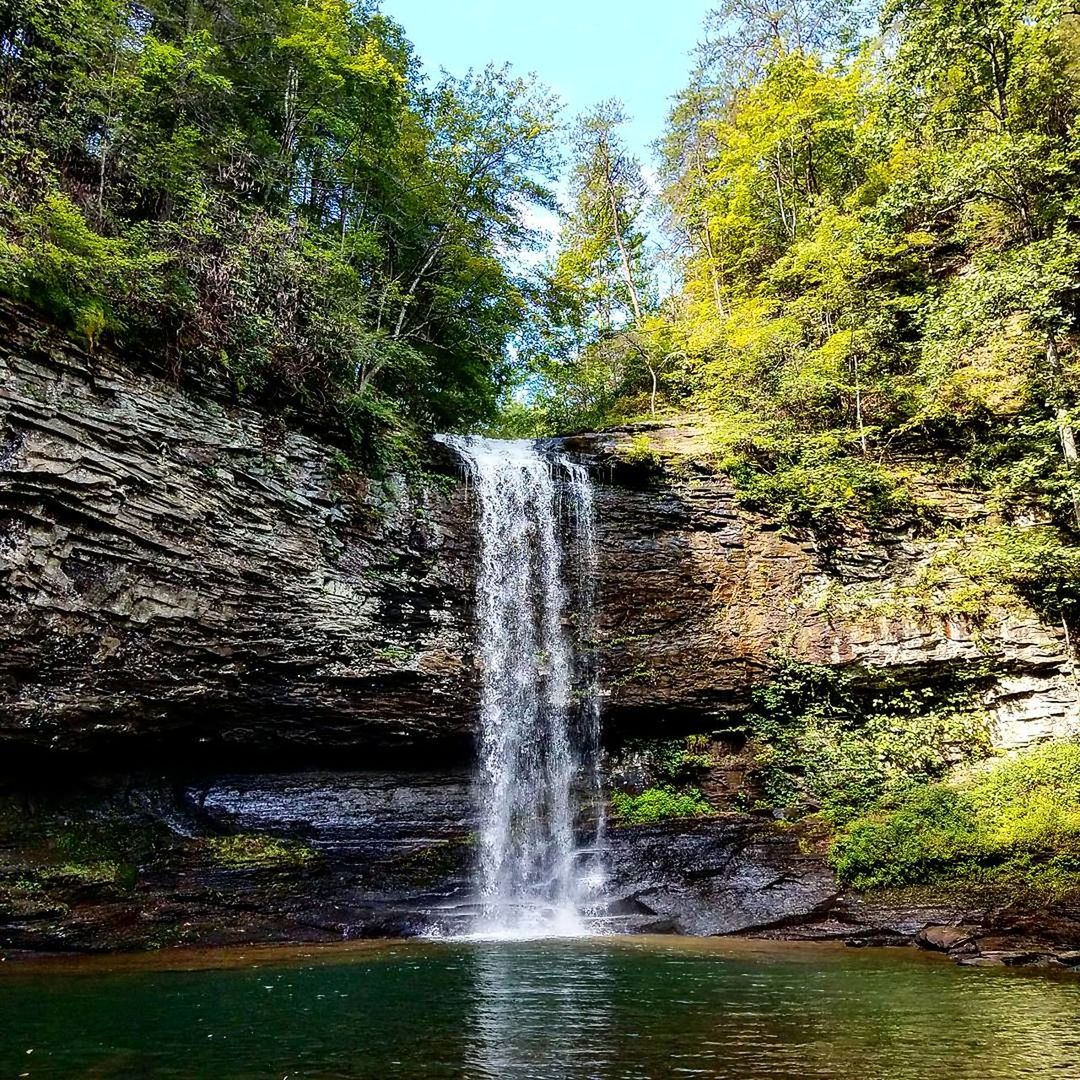 WATERFALL IN FOREST