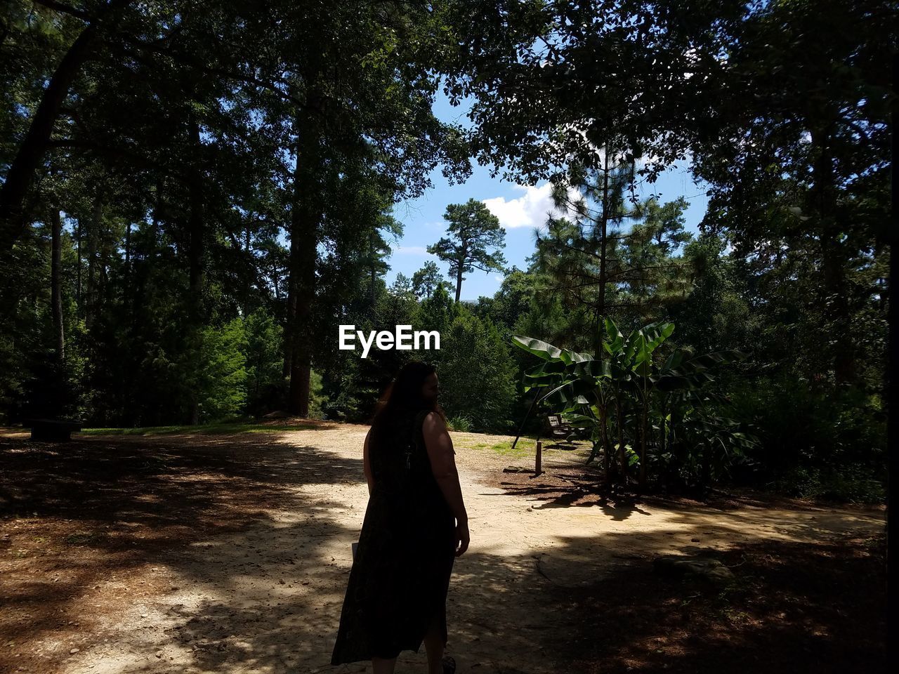 REAR VIEW OF WOMAN IN FOREST