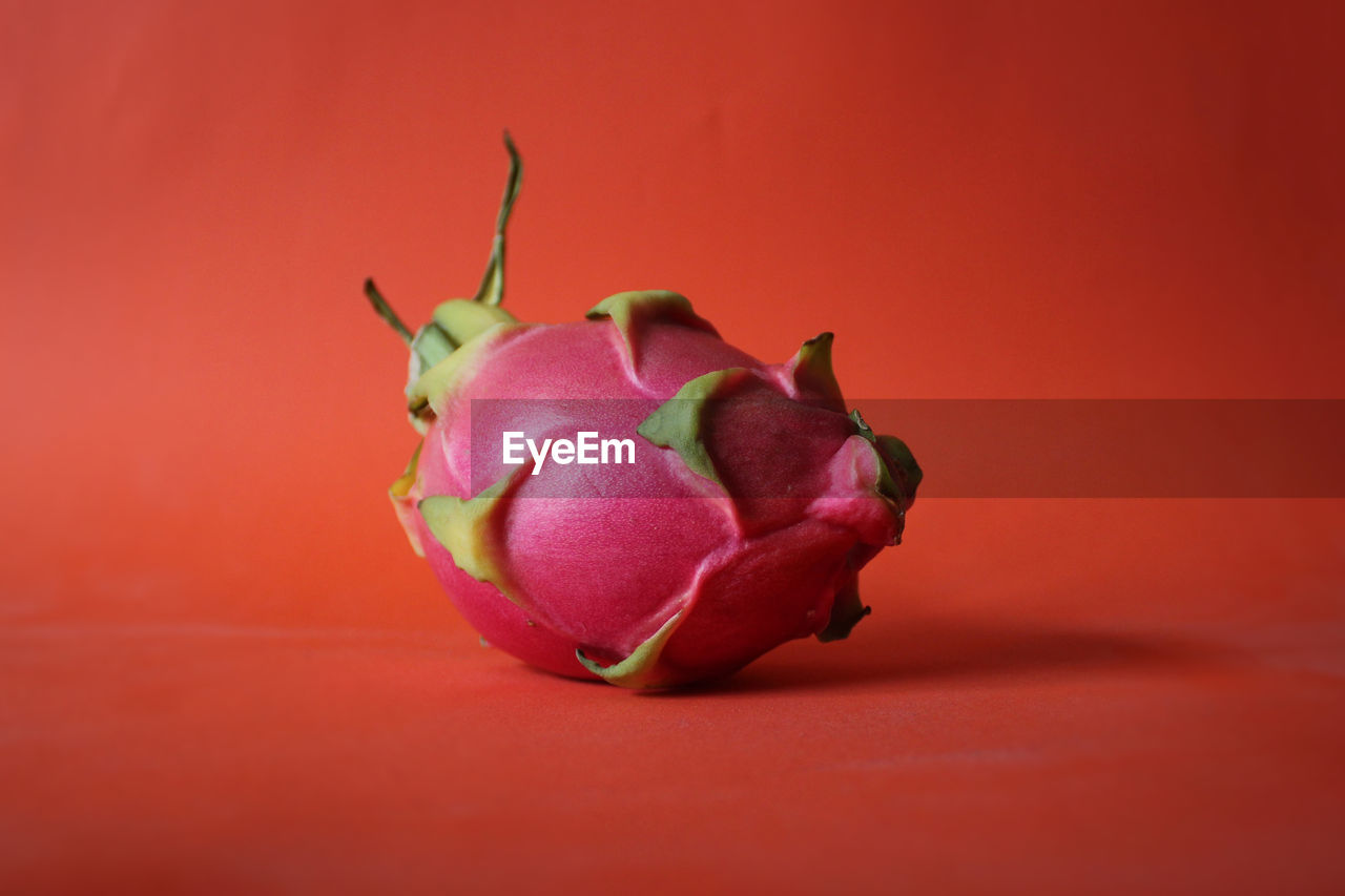 Close-up of pitaya over red background