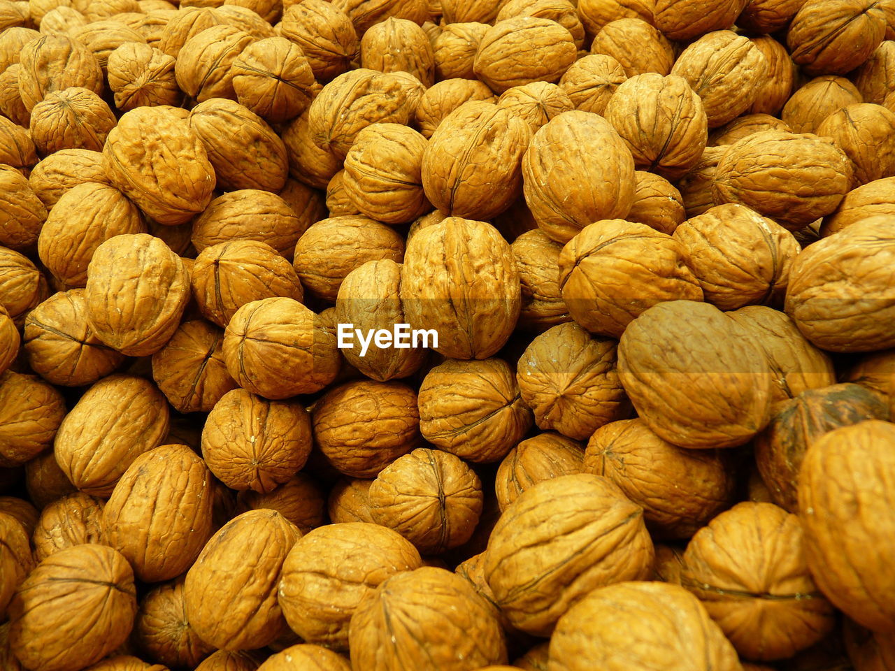 In-shell walnuts are drupes of the genus juglans