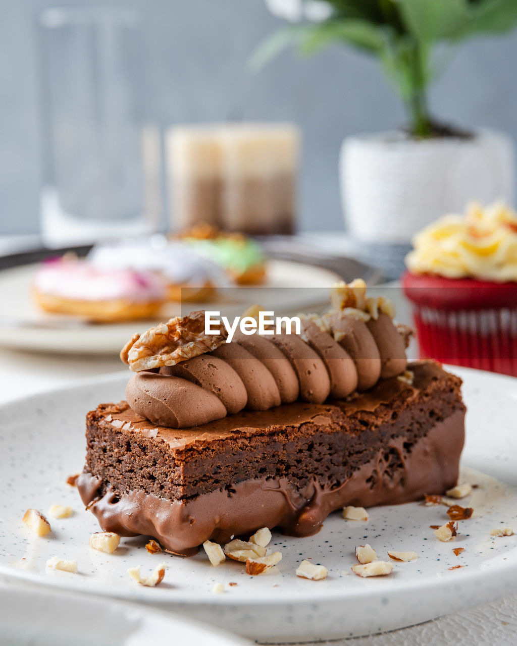 close-up of dessert in plate