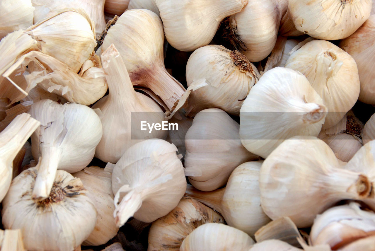 detail shot of garlic