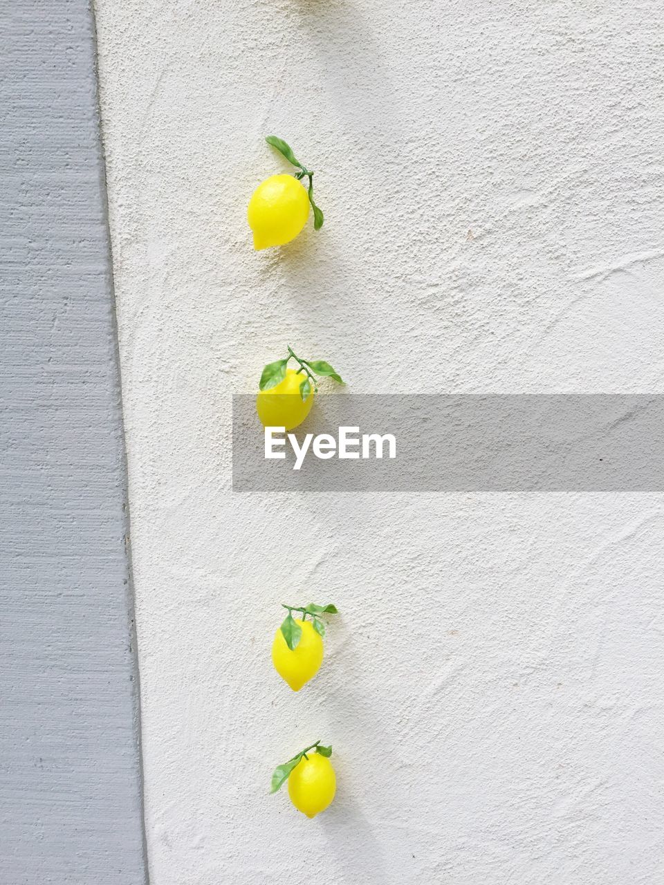 Directly above shot of yellow fruits on wall