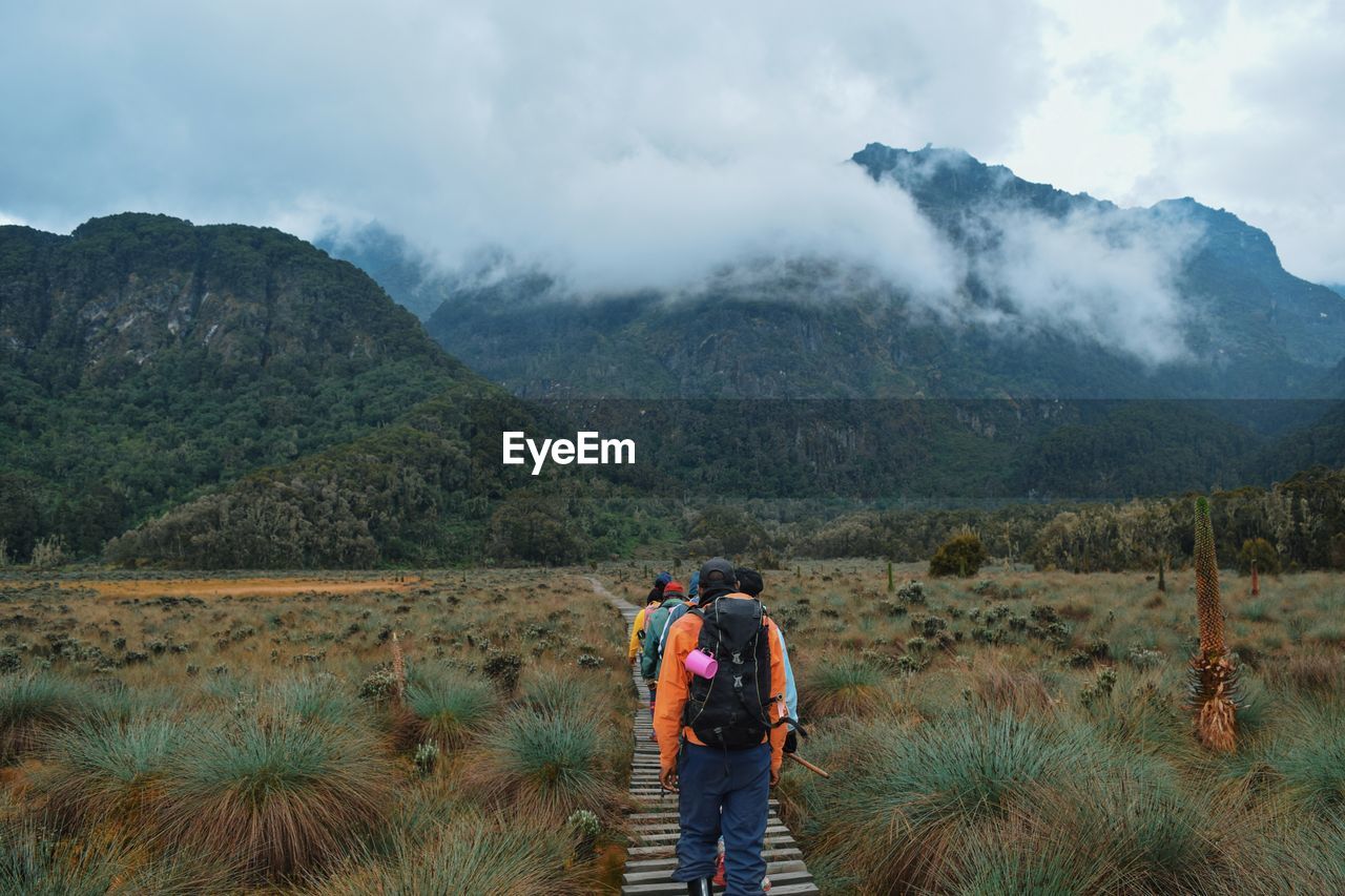 A group of hikers in the panoramic mountain landscapes of rwenzori mountains, uganda