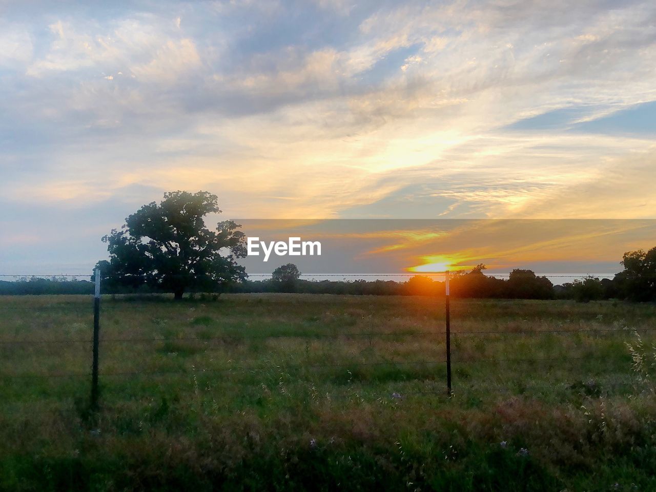 SCENIC VIEW OF GRASSY FIELD AGAINST SKY AT SUNSET