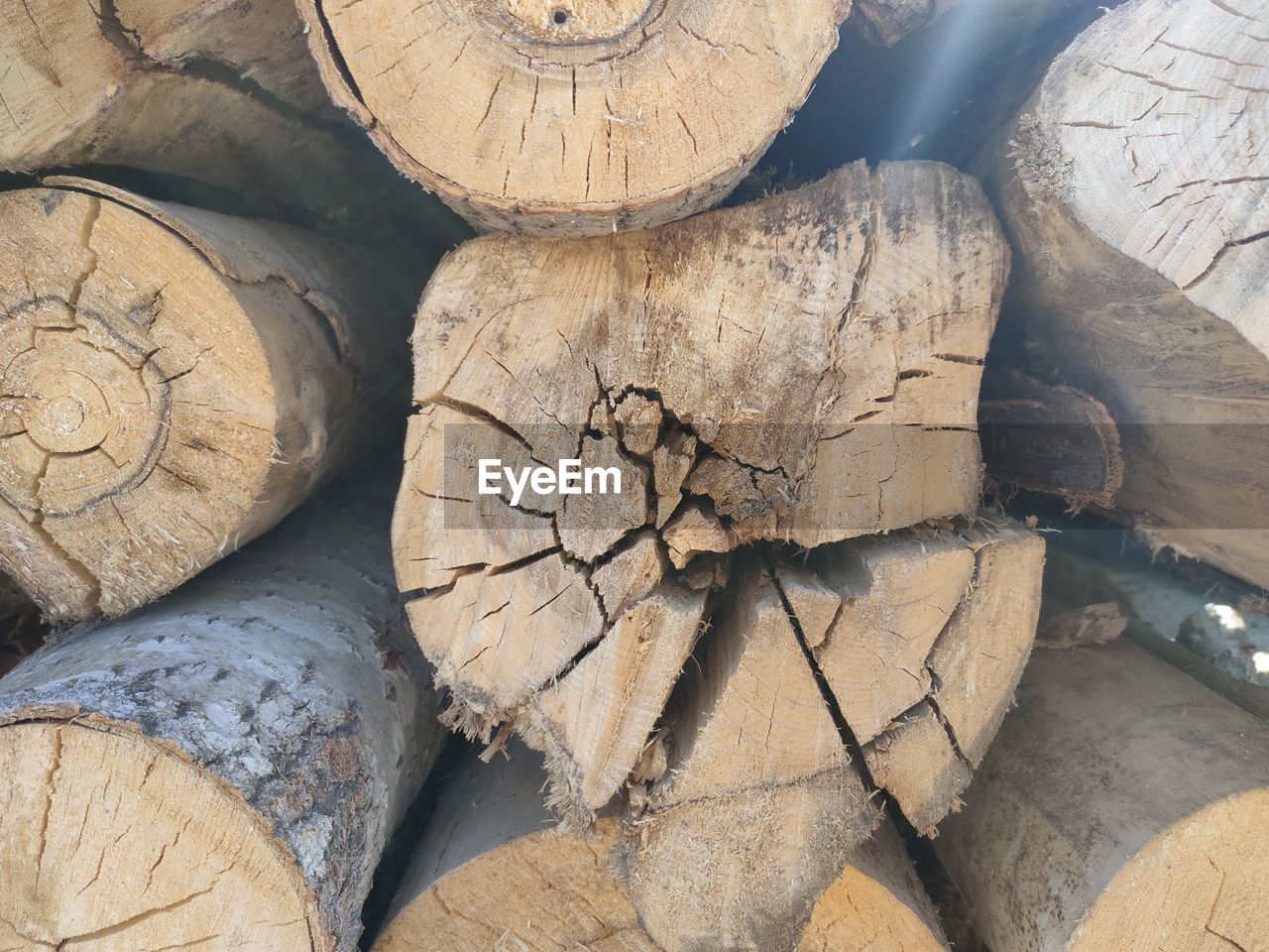FULL FRAME SHOT OF LOGS