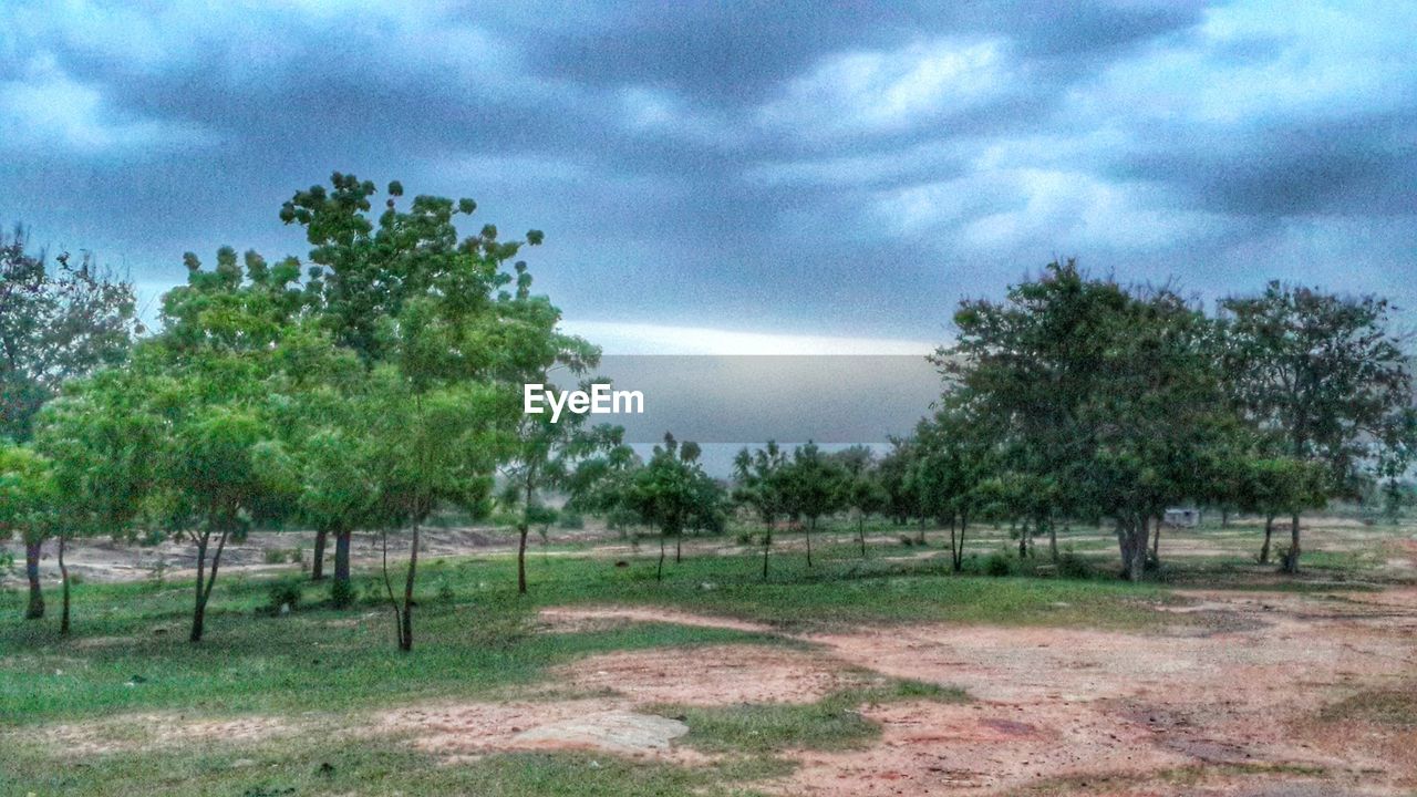 TREES ON FIELD AGAINST CLOUDY SKY