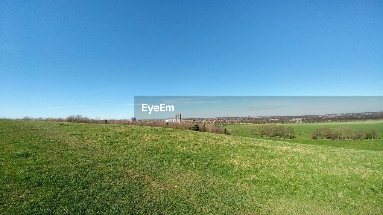 Scenic view of field against clear blue sky