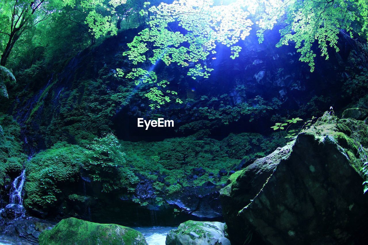 CLOSE-UP OF WATER FLOWING THROUGH ROCKS IN FOREST