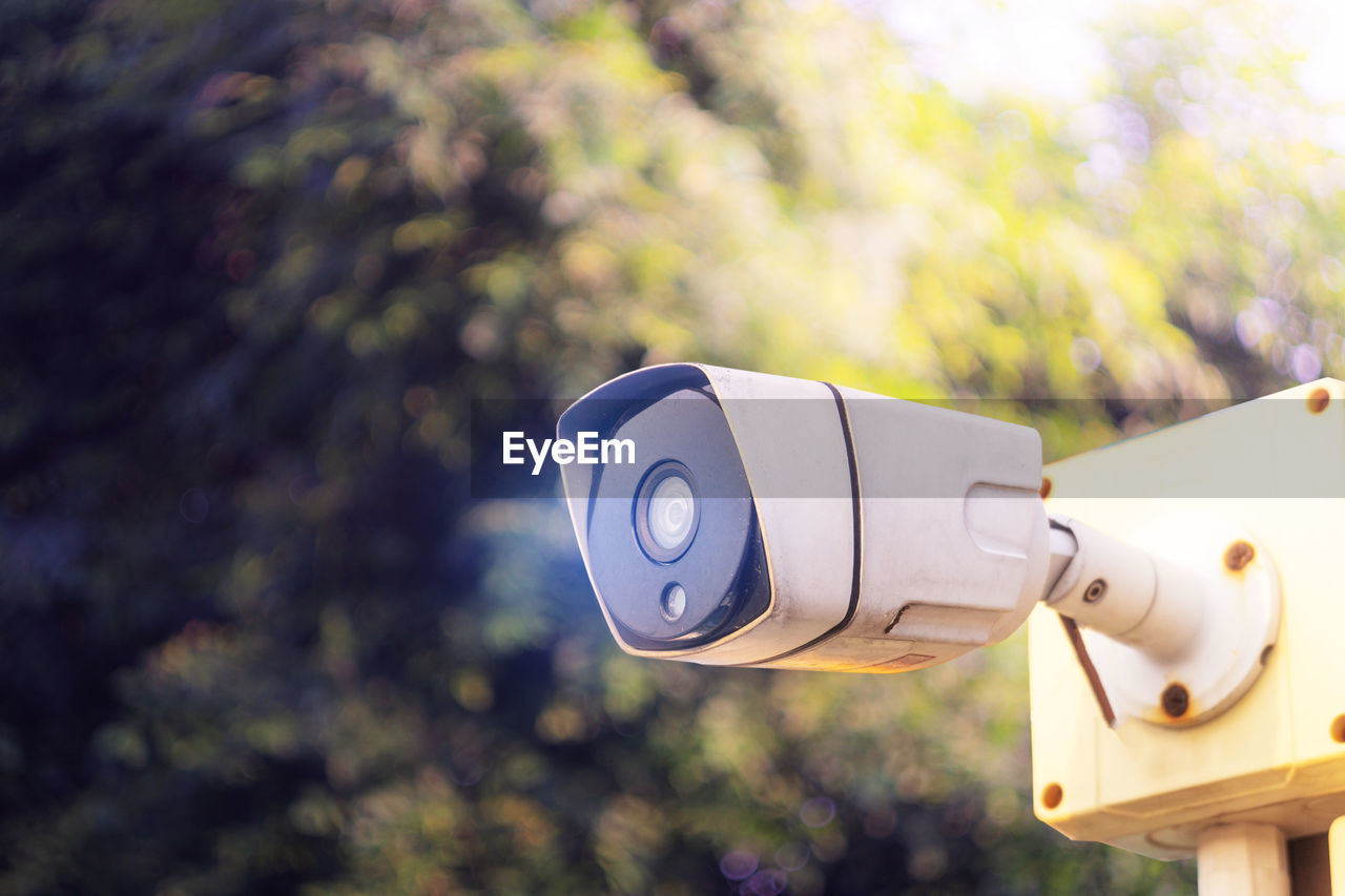 LOW ANGLE VIEW OF CAMERA AND TREES