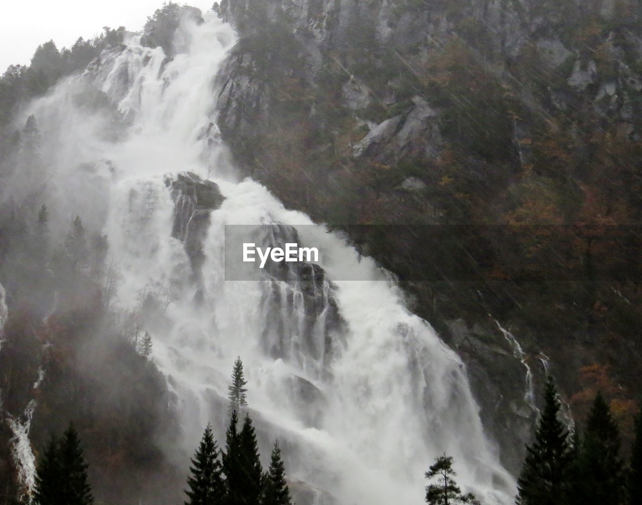 WATERFALL IN FOREST