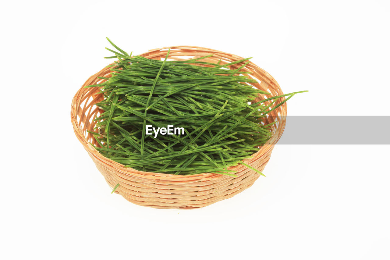 CLOSE-UP OF VEGETABLES IN BASKET