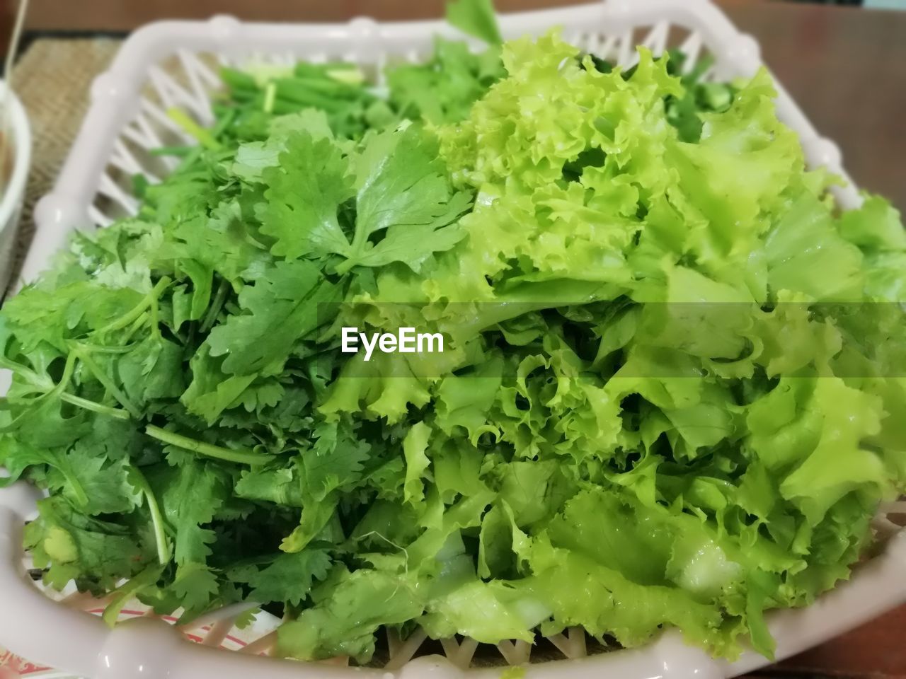 HIGH ANGLE VIEW OF SALAD IN PLATE