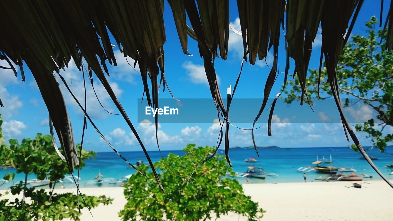 Low angle view of thatched roof at beach on sunny day