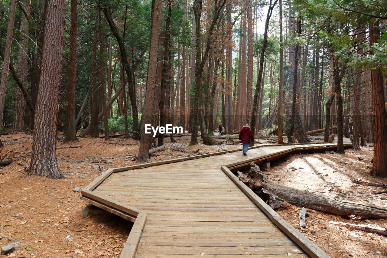 REAR VIEW OF MAN WALKING ON WOODEN WALKWAY