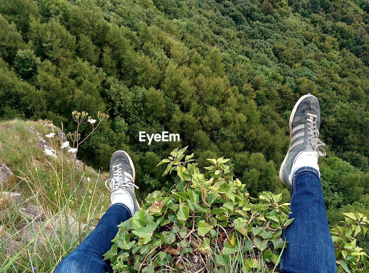 Low section of person sitting on mountain over trees in forest