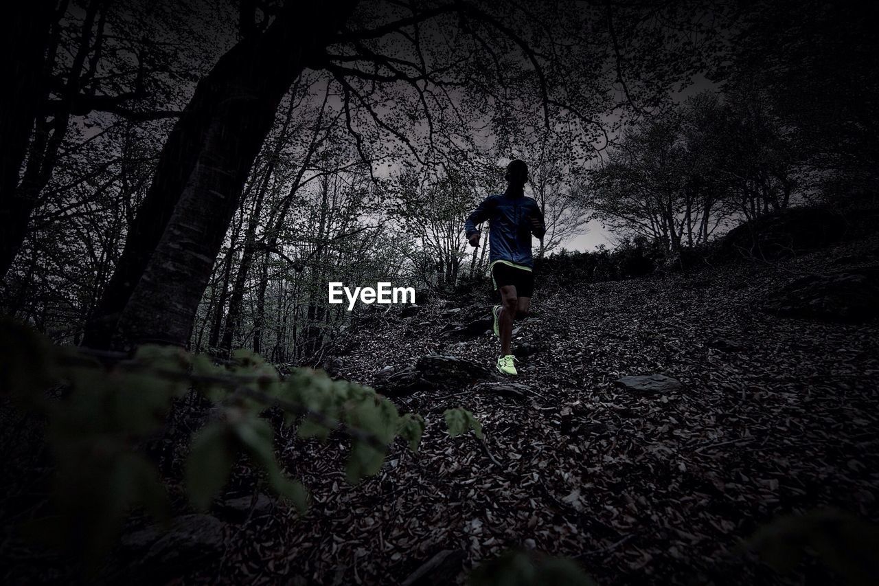 Man jogging in forest