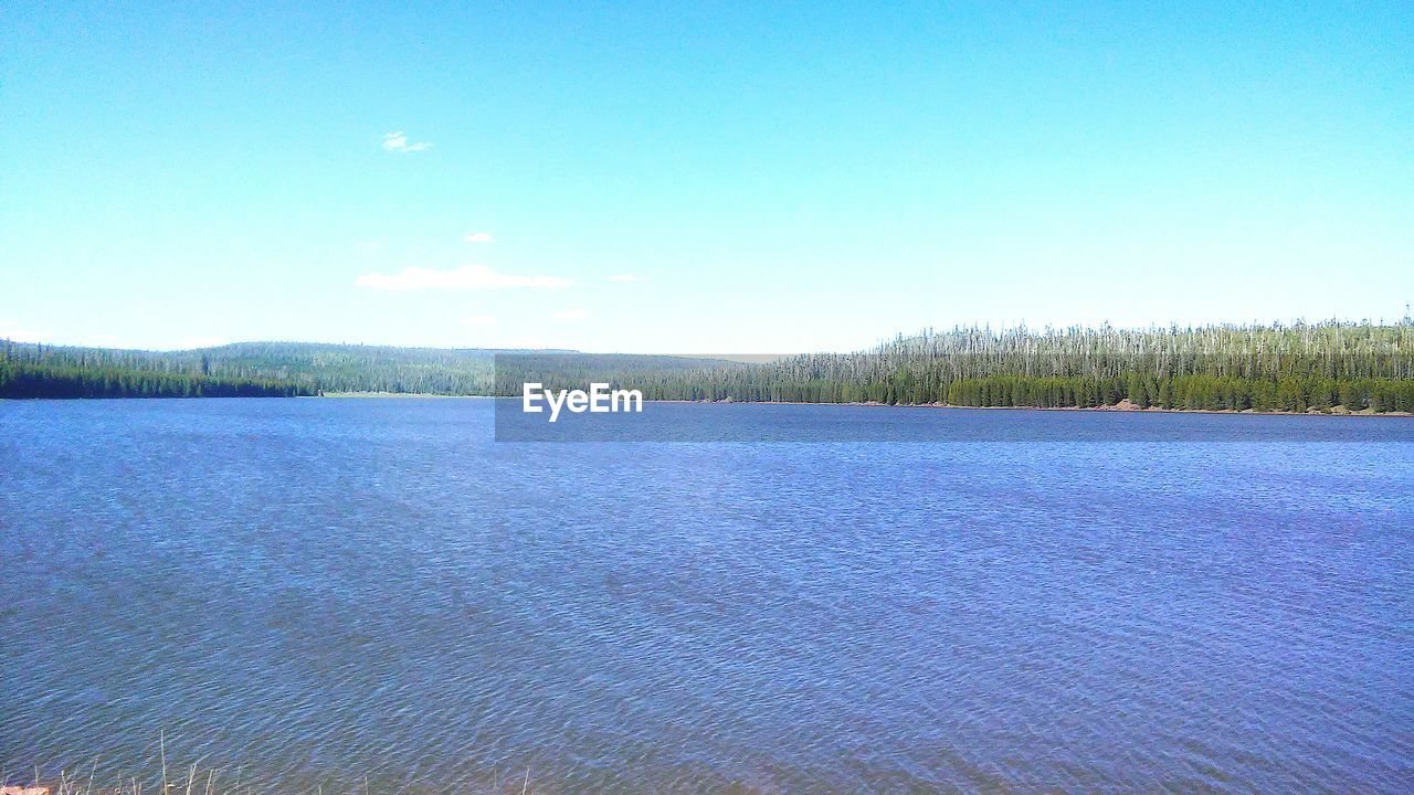 SCENIC VIEW OF LANDSCAPE AGAINST CLEAR SKY