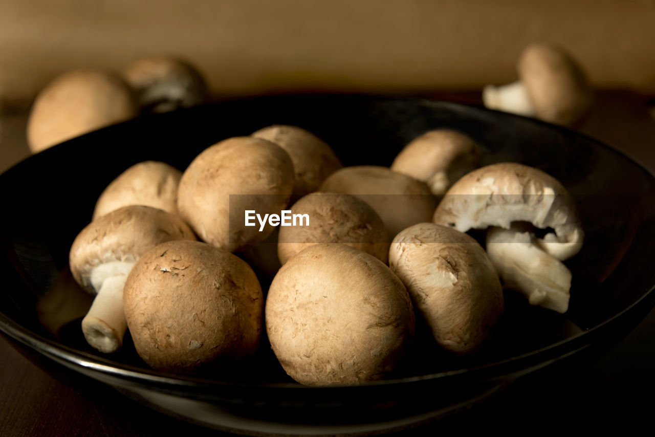 CLOSE-UP OF EGGS IN CONTAINER