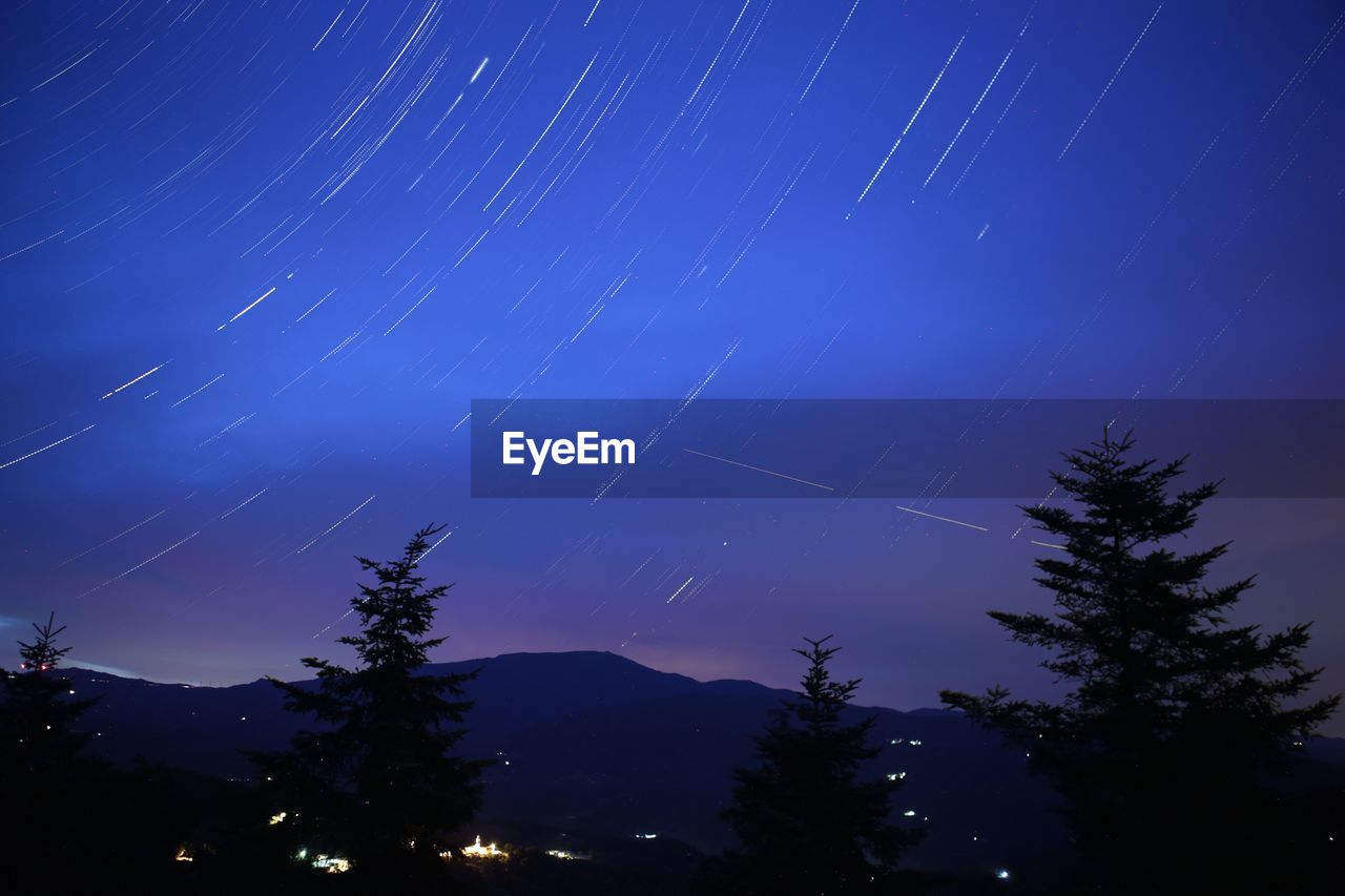 Low angle view of silhouette trees against sky at night