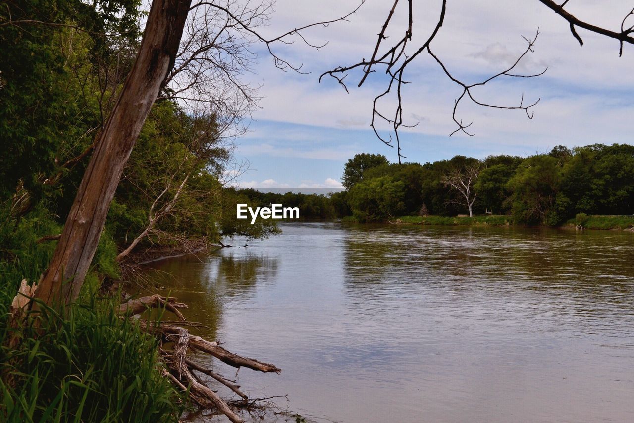 Scenic view of river in forest against sky