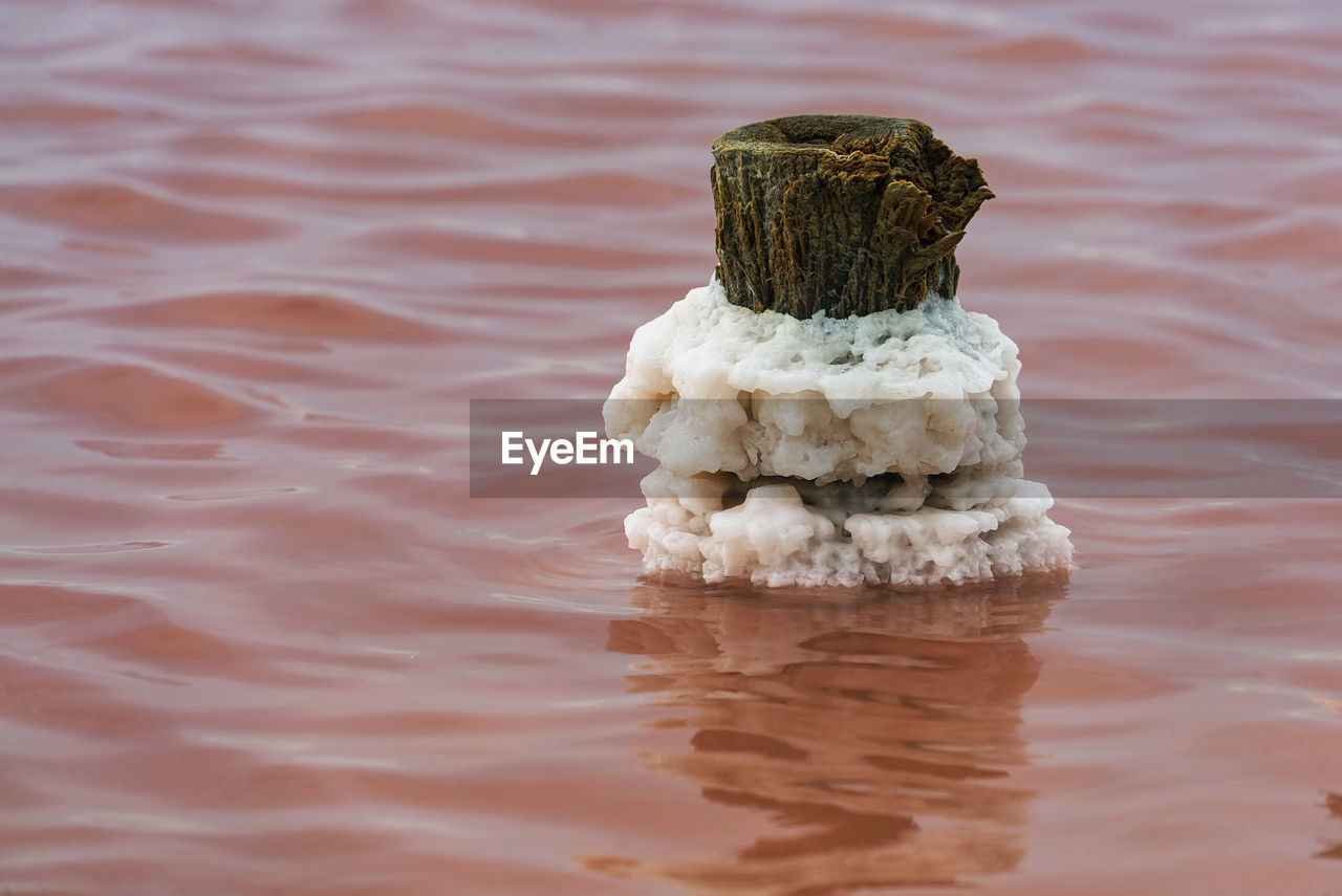 CLOSE-UP OF A LAKE