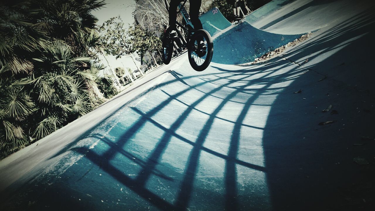 Tilt image of person jumping on bicycle in skateboard park
