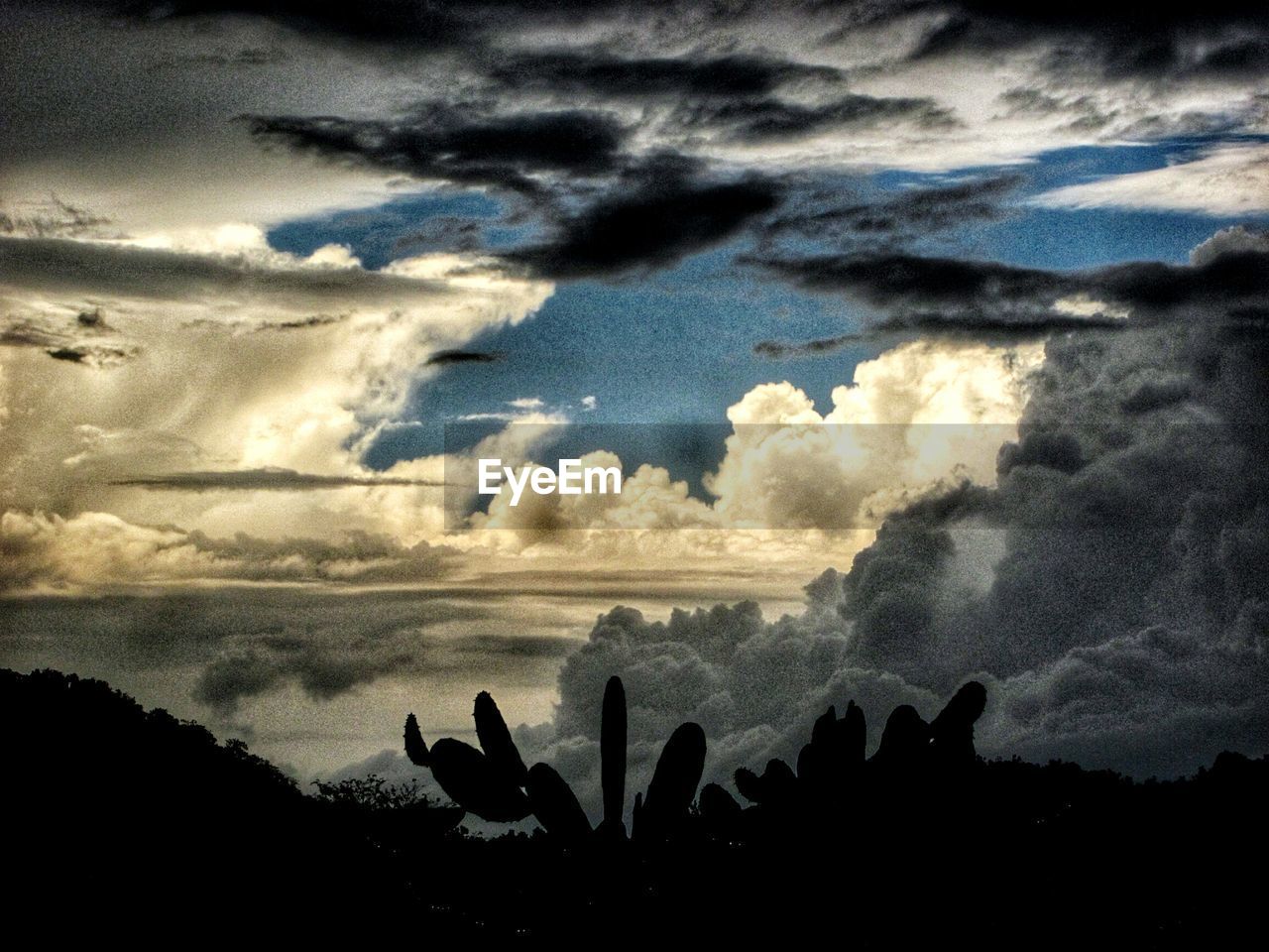 LOW ANGLE VIEW OF SILHOUETTE BIRDS PERCHING ON SHORE AGAINST SKY