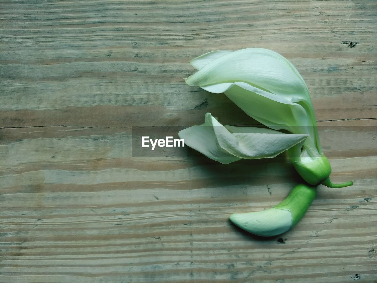 HIGH ANGLE VIEW OF GREEN CHILI ON TABLE