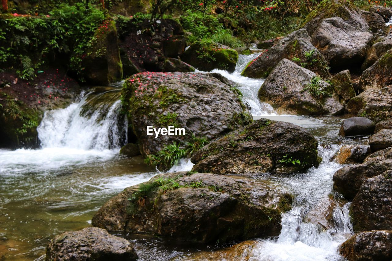 SCENIC VIEW OF WATERFALL