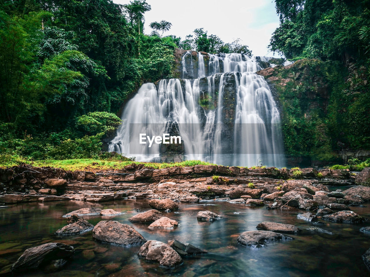 Waterfall in forest