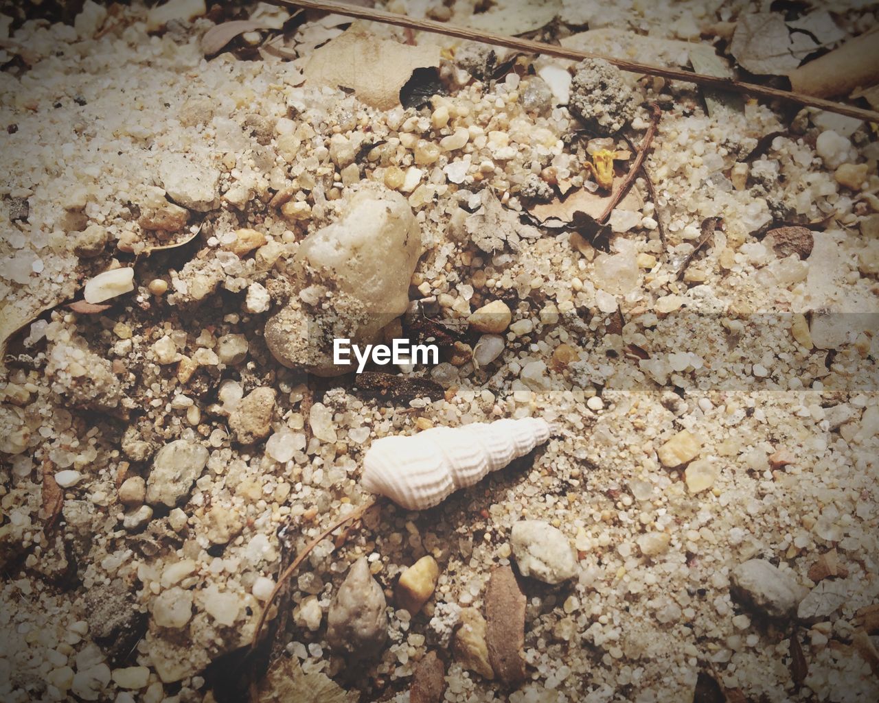 HIGH ANGLE VIEW OF ABANDONED CRAB ON BEACH