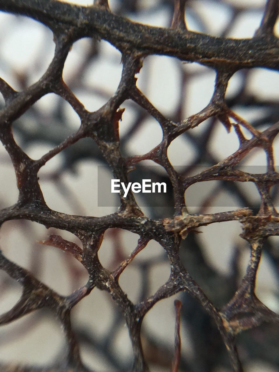 CLOSE-UP OF CHAINLINK FENCE