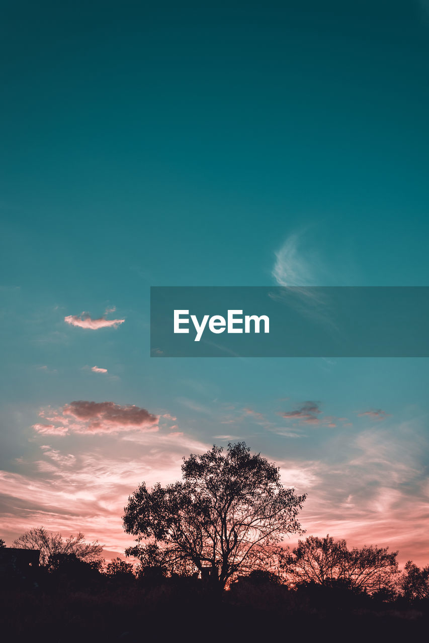 LOW ANGLE VIEW OF SILHOUETTE TREES AGAINST BLUE SKY