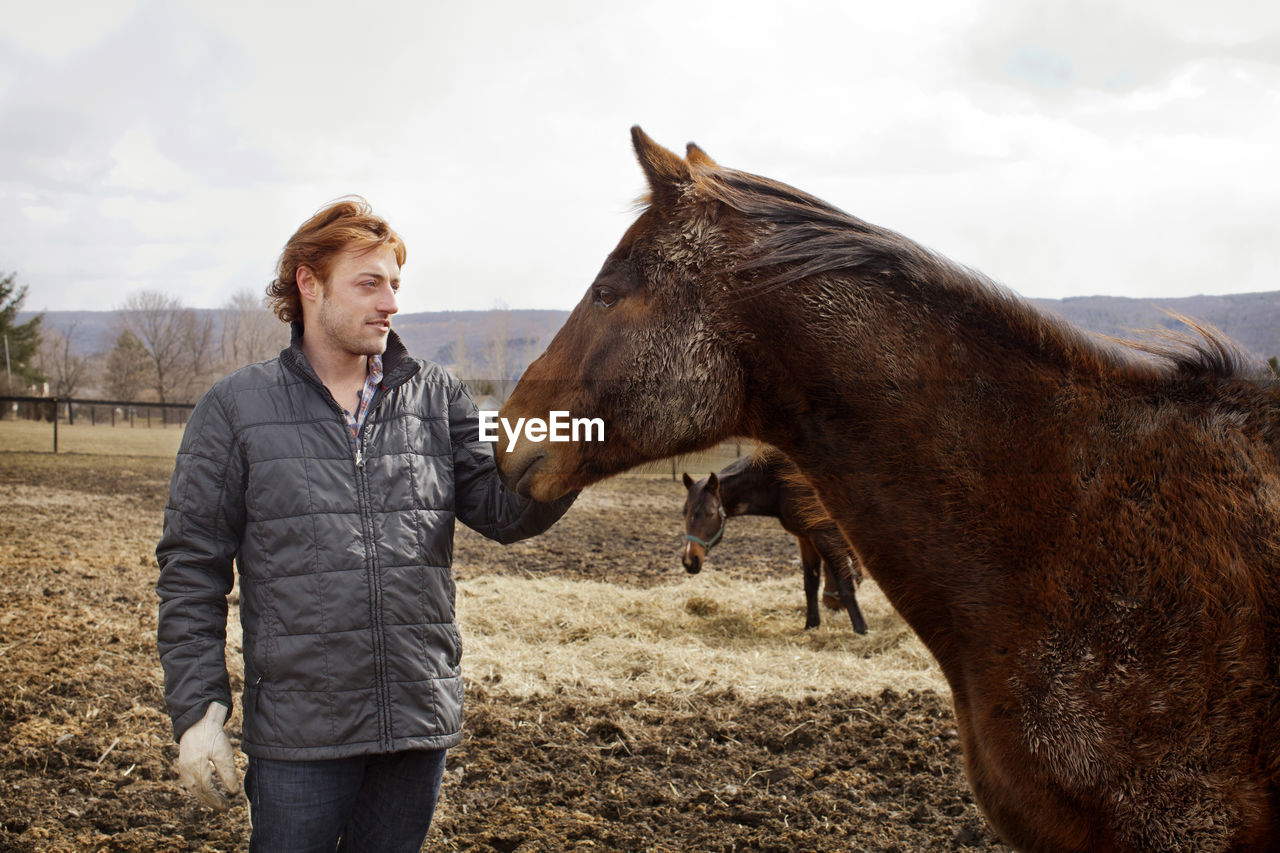 Man stroking horse against sky