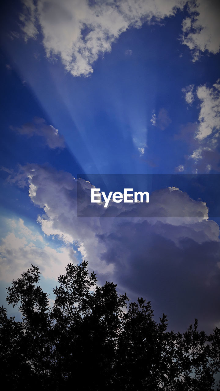 LOW ANGLE VIEW OF SILHOUETTE TREES AGAINST BLUE SKY