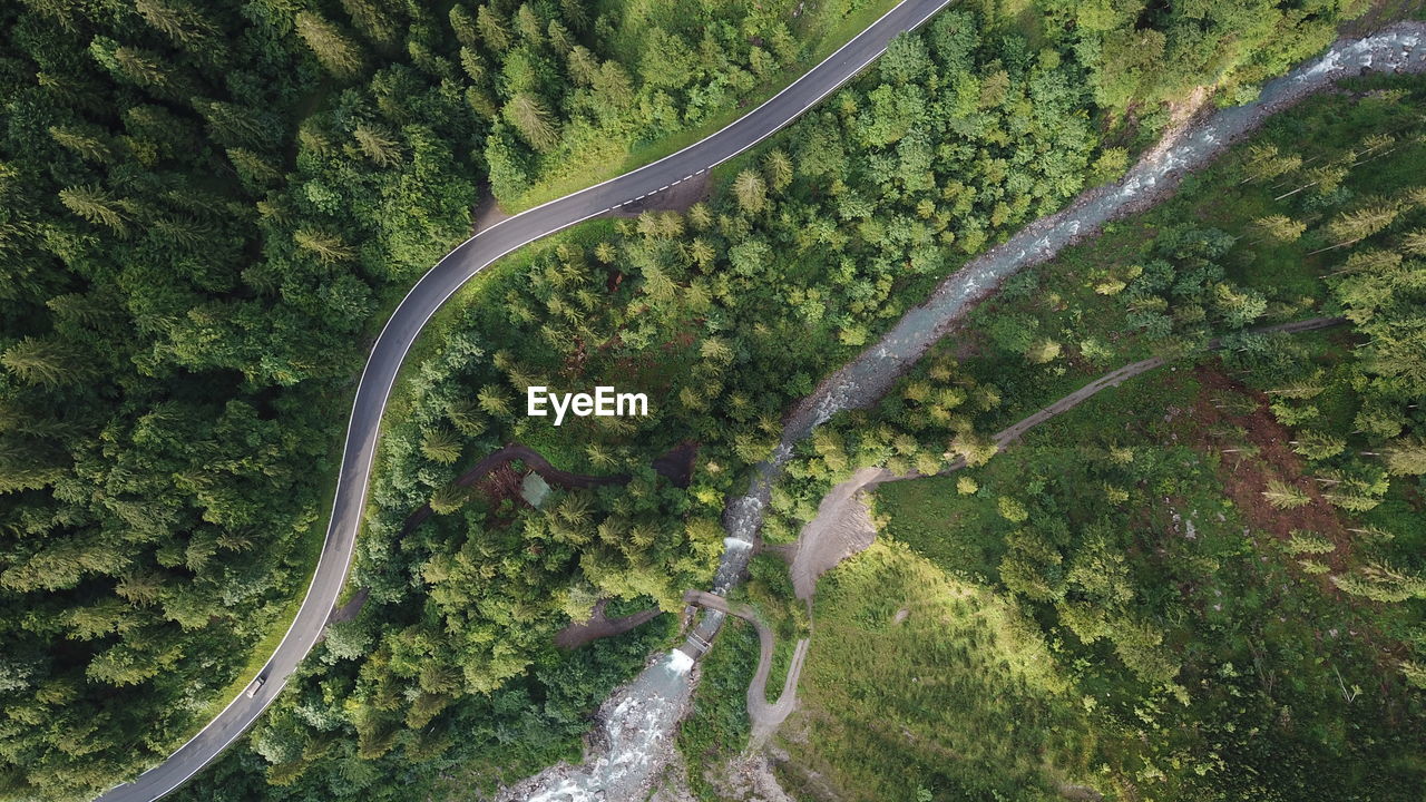 Aerial view of road amidst forest