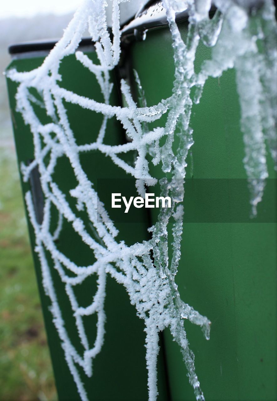 CLOSE-UP OF FROZEN SPIDER WEB