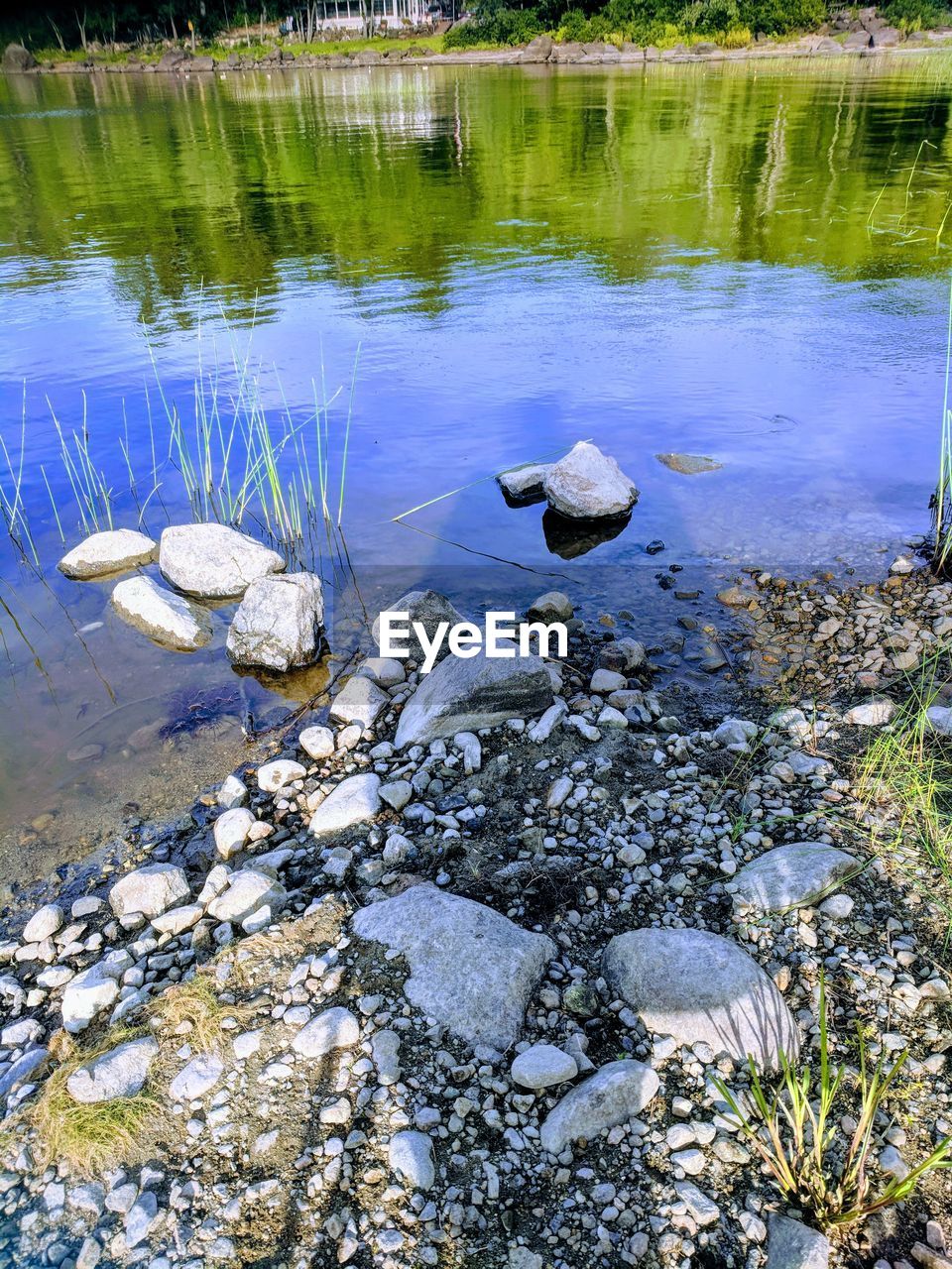 HIGH ANGLE VIEW OF DUCKS IN LAKE