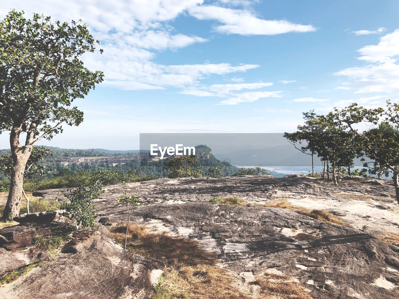 tree, sky, plant, environment, landscape, nature, scenics - nature, cloud, land, beauty in nature, travel destinations, travel, rock, no people, mountain, tranquility, tourism, outdoors, non-urban scene, day, tranquil scene, water, soil, geology, pinaceae, sea, wilderness, forest, sunlight, coniferous tree, coast, blue, semi-arid, terrain