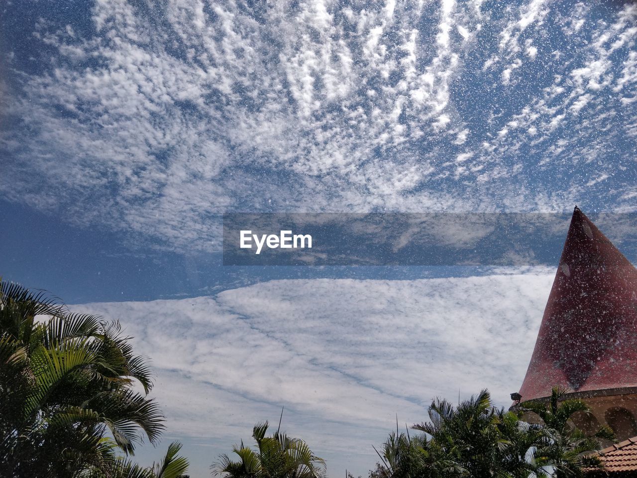 LOW ANGLE VIEW OF TREES AND BUILDING AGAINST SKY