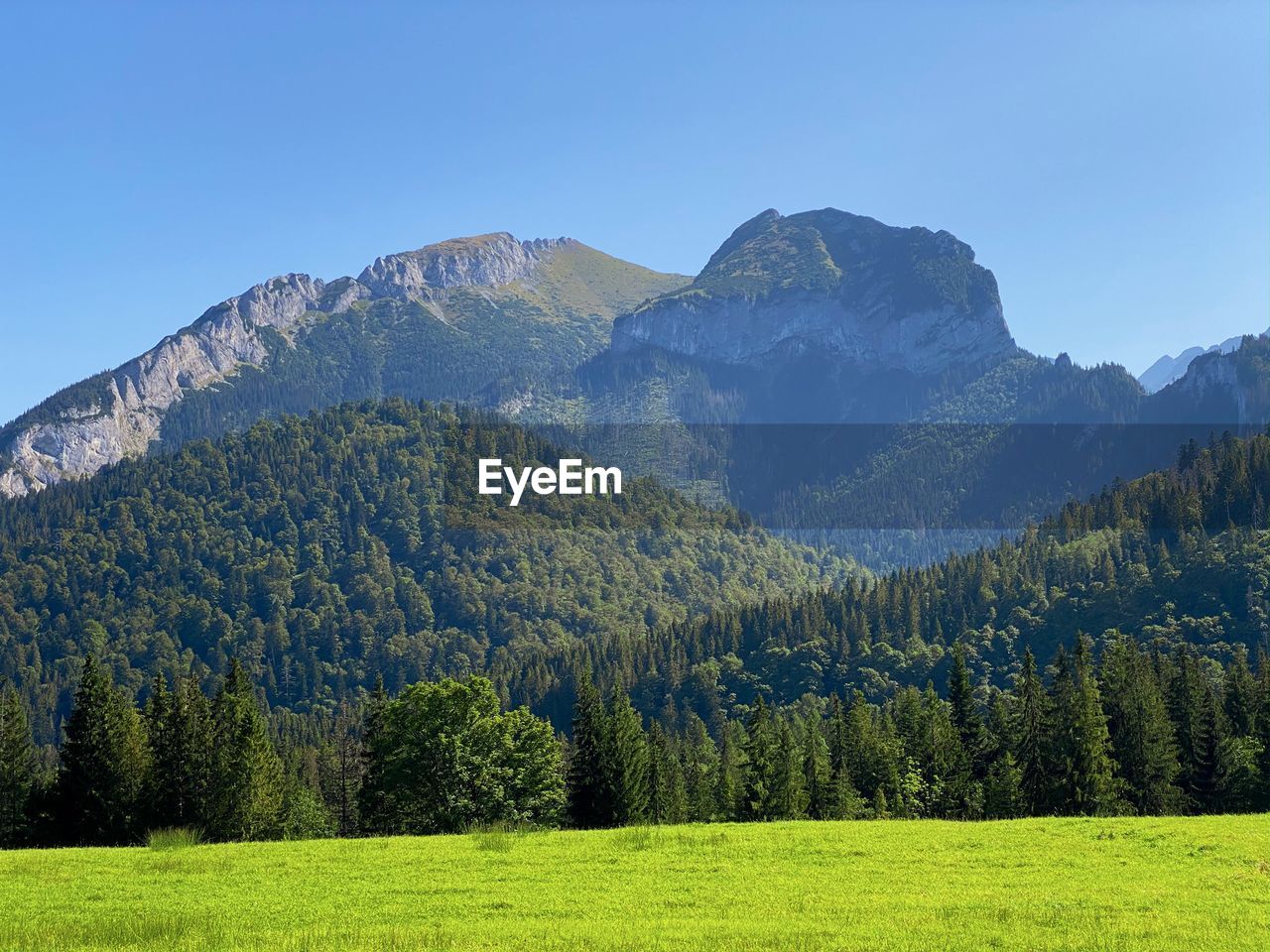 Scenic green meadow and forest and interesting mountain range in distance on blue sky